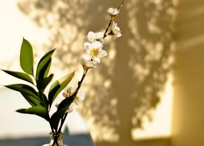 阿卡萨宫酒店 4*